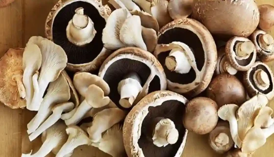 Chestnut Mushrooms: Uses, Benefits, and Recipes